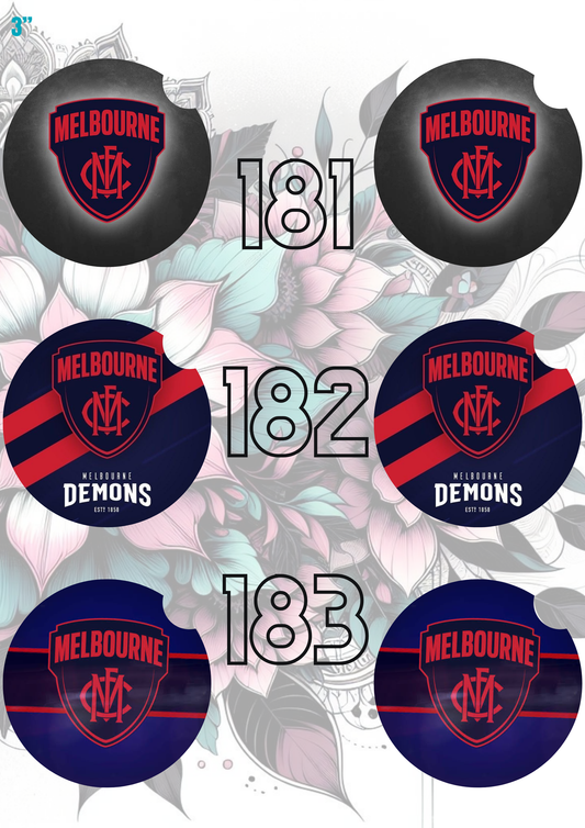 181 - 211 Car Coaster Sublimation Print