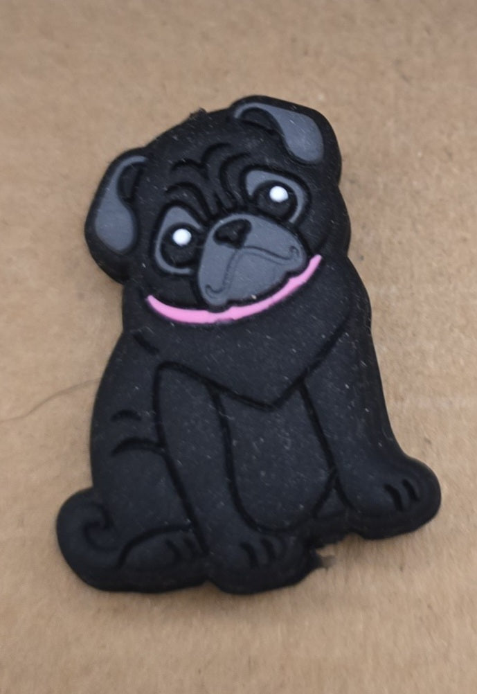 Grey pug