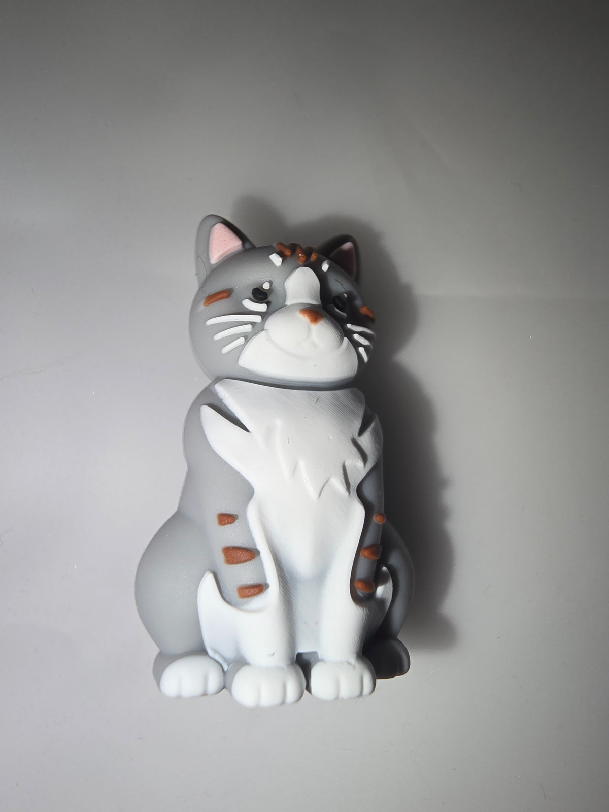 3d cat